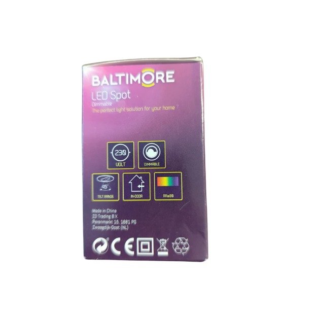 LED įleidžiamas šviestuvas „Baltimore Spot“, reguliuojamas 1