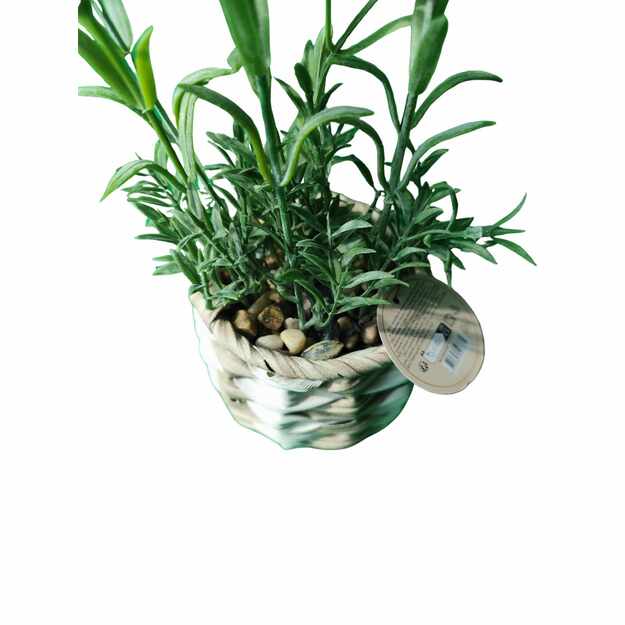 Dirbtinė levanda pintame krepšelyje – dekoratyvinis augalas su žaliais lapais ir violetiniais žiedais 1