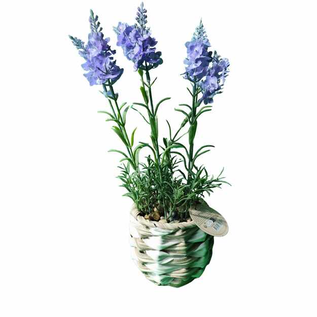 Dirbtinė levanda pintame krepšelyje – dekoratyvinis augalas su žaliais lapais ir violetiniais žiedais