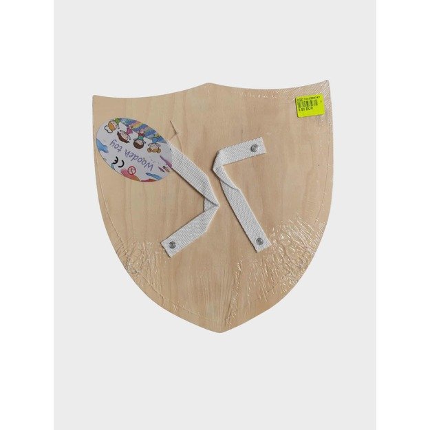 Medinis riterio skydas su mėlynu kryžiumi 1